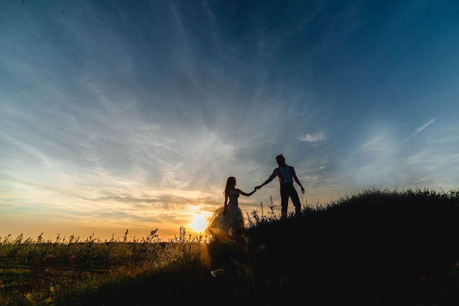 Fotografo di matrimoni Andrey Apolayko (apollon). Foto del 26 maggio 2017