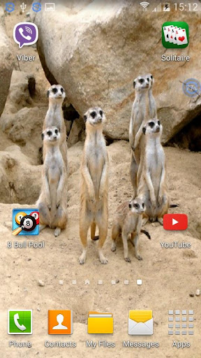 Meerkat SHAKE And Change LWP