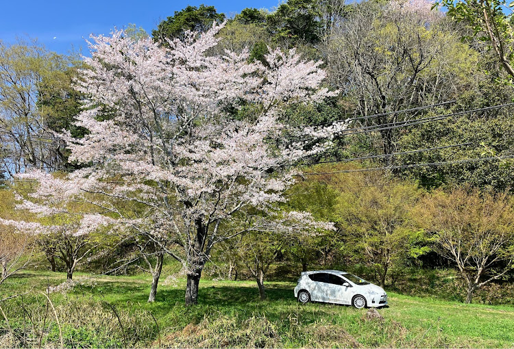 の投稿画像5枚目