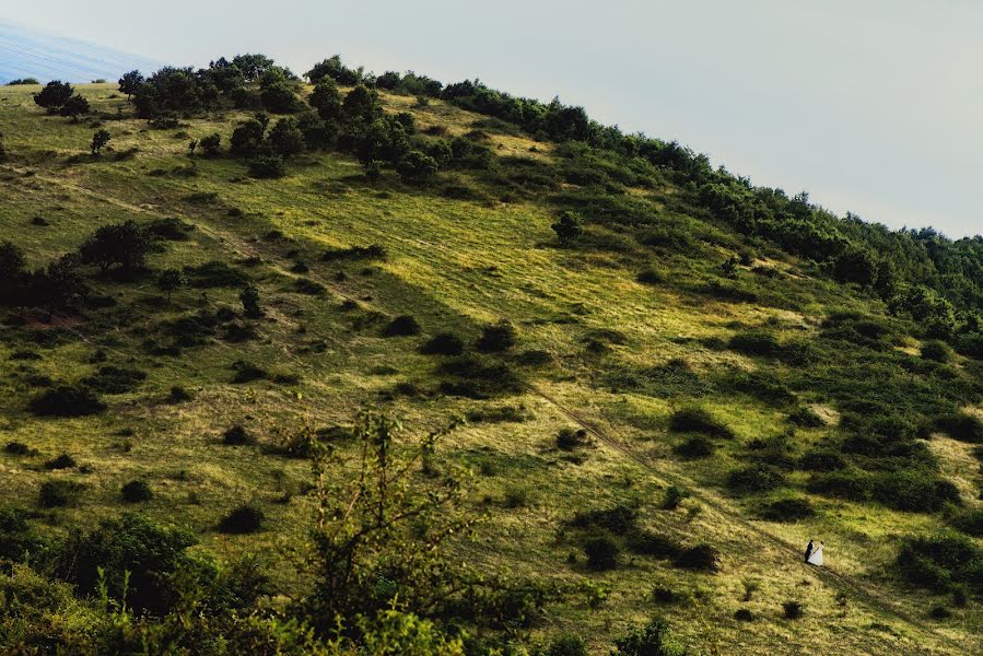 Düğün fotoğrafçısı Andrei Branea (branea). 28 Temmuz 2016 fotoları