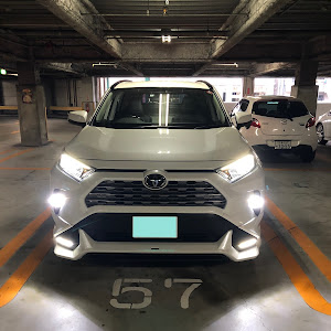 RAV4 MXAA54