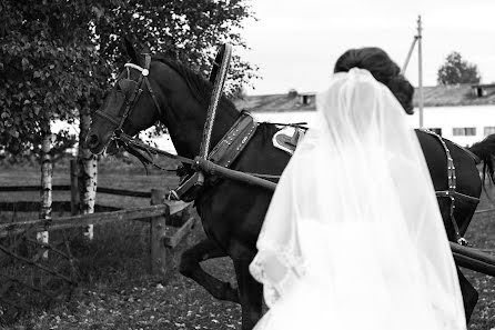 Wedding photographer Natalya Kolesnichenko (nataliamoon). Photo of 1 December 2016