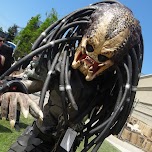 Predator at Anime North 2014 in Mississauga, Canada 