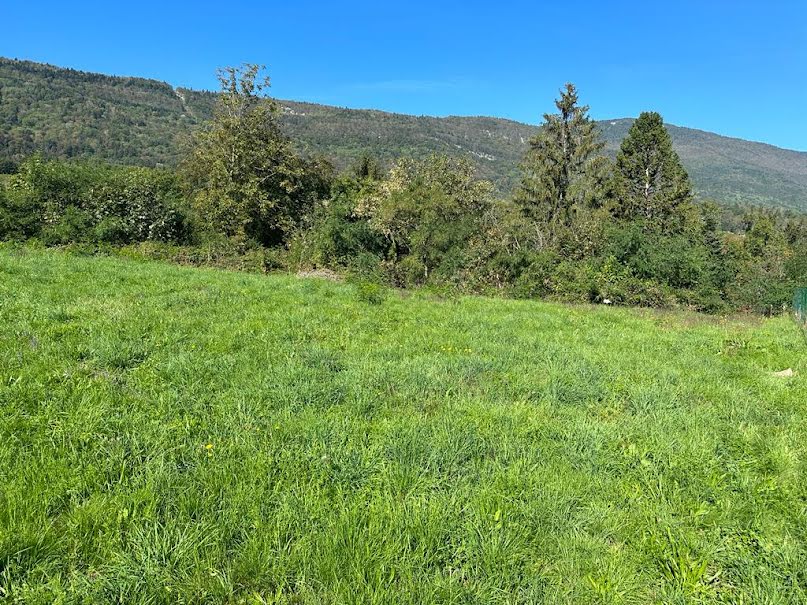 Vente terrain  600 m² à Drumettaz-Clarafond (73420), 320 000 €