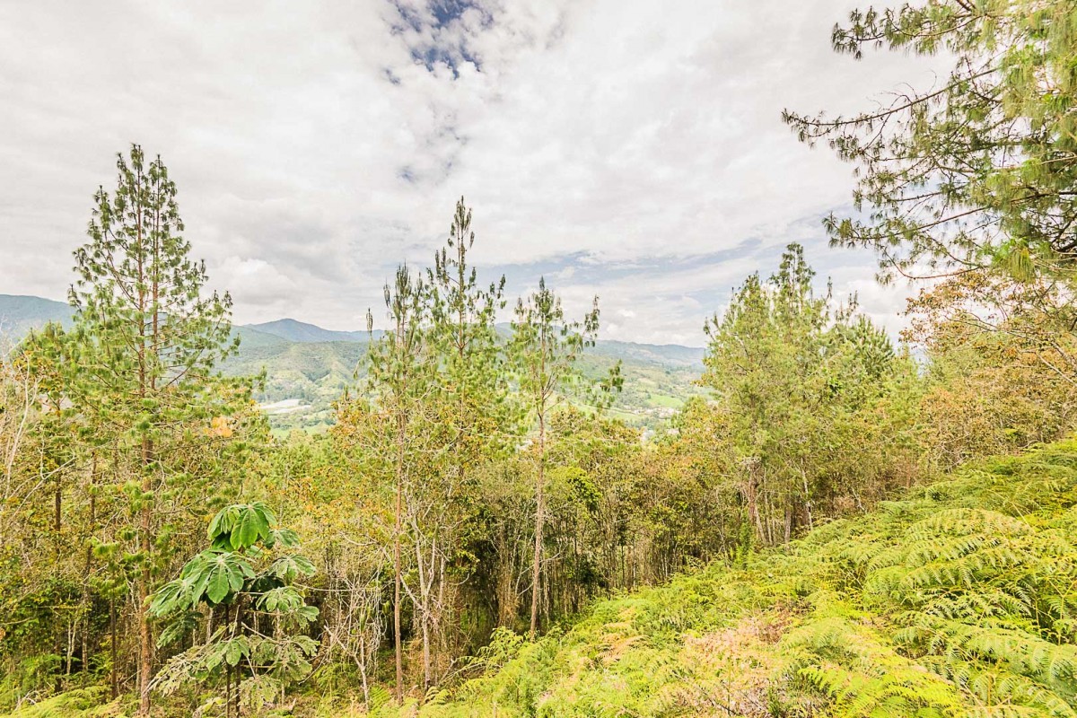 Lotes para Venta en El retiro