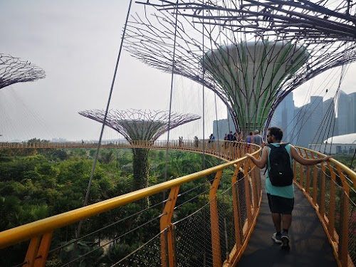 Malasia y Singapur en 12 días. Septiembre 2019 - Blogs de Asia Sudeste - Un día en Gardens by the Bay (28)