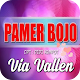 Download Pamer Bojo Via Vallen For PC Windows and Mac 1.1