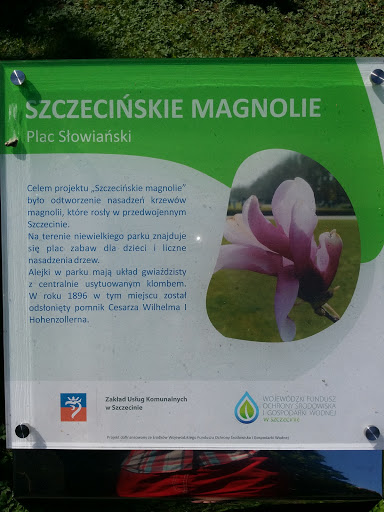 Szczecińskie Magnolie