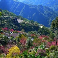 花岩山林花園餐廳