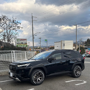 RAV4 AXAH54