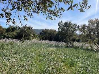 terrain à batir à Figari (2A)