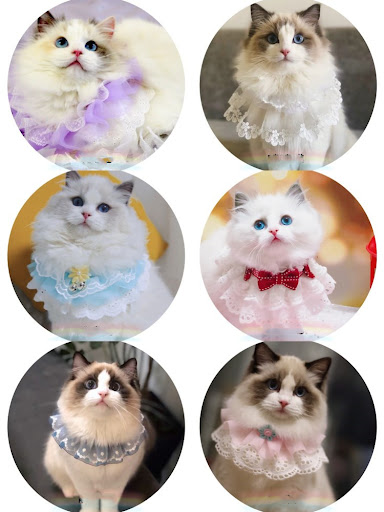 Title 3, Pet Variety Saliva Towel for Cats & Dogs, Lace ...