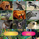 Download Animal Sounds - wild animal sounds For PC Windows and Mac