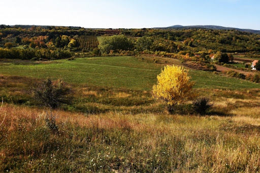 NIS-ovi volonteri čistili Frušku goru
