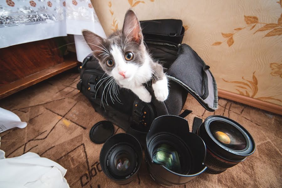 Fotografer pernikahan Aleksandr Gerasimov (gerik). Foto tanggal 7 Februari 2019