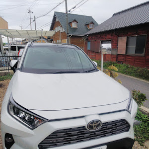 RAV4 MXAA54