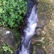 【竹子湖】山園野菜餐廳