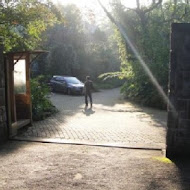 納美花園餐廳 Na'vi Garden Restaurant