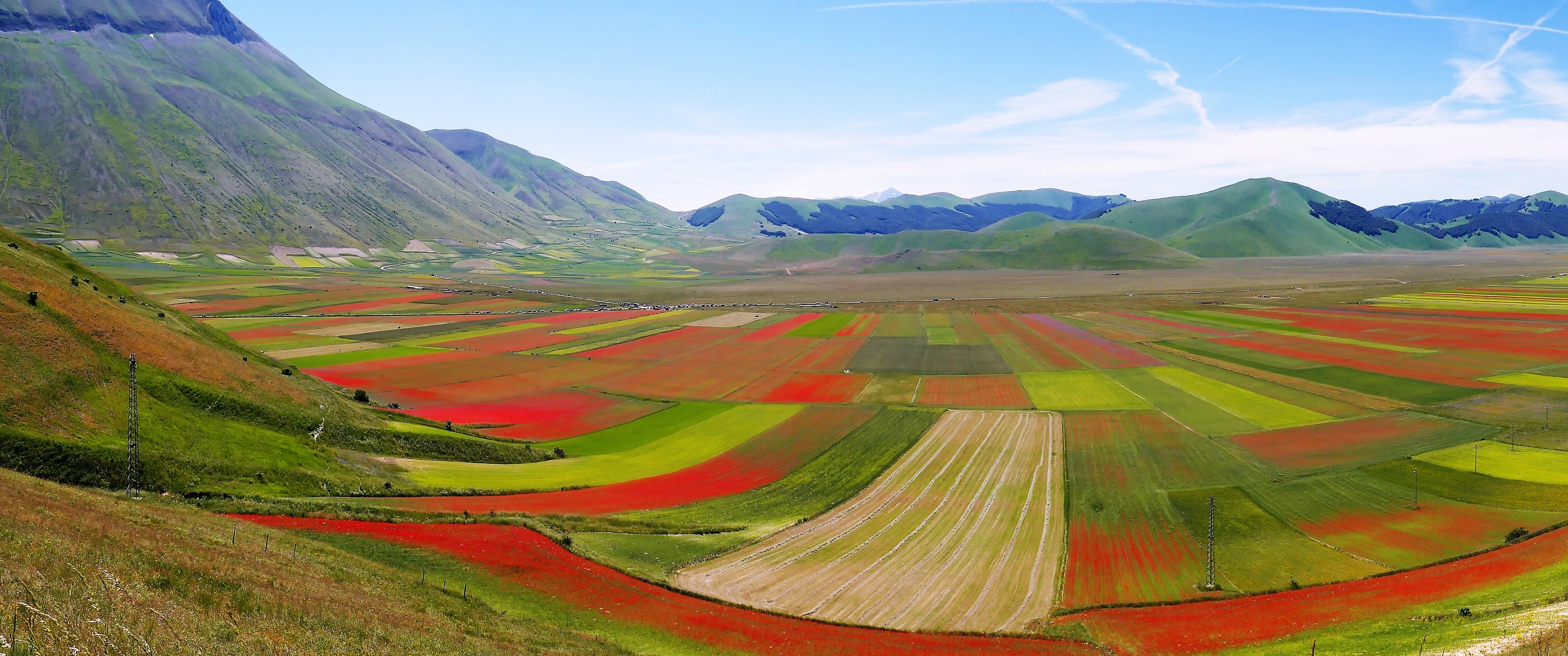 Natura meravigliosa di Piera