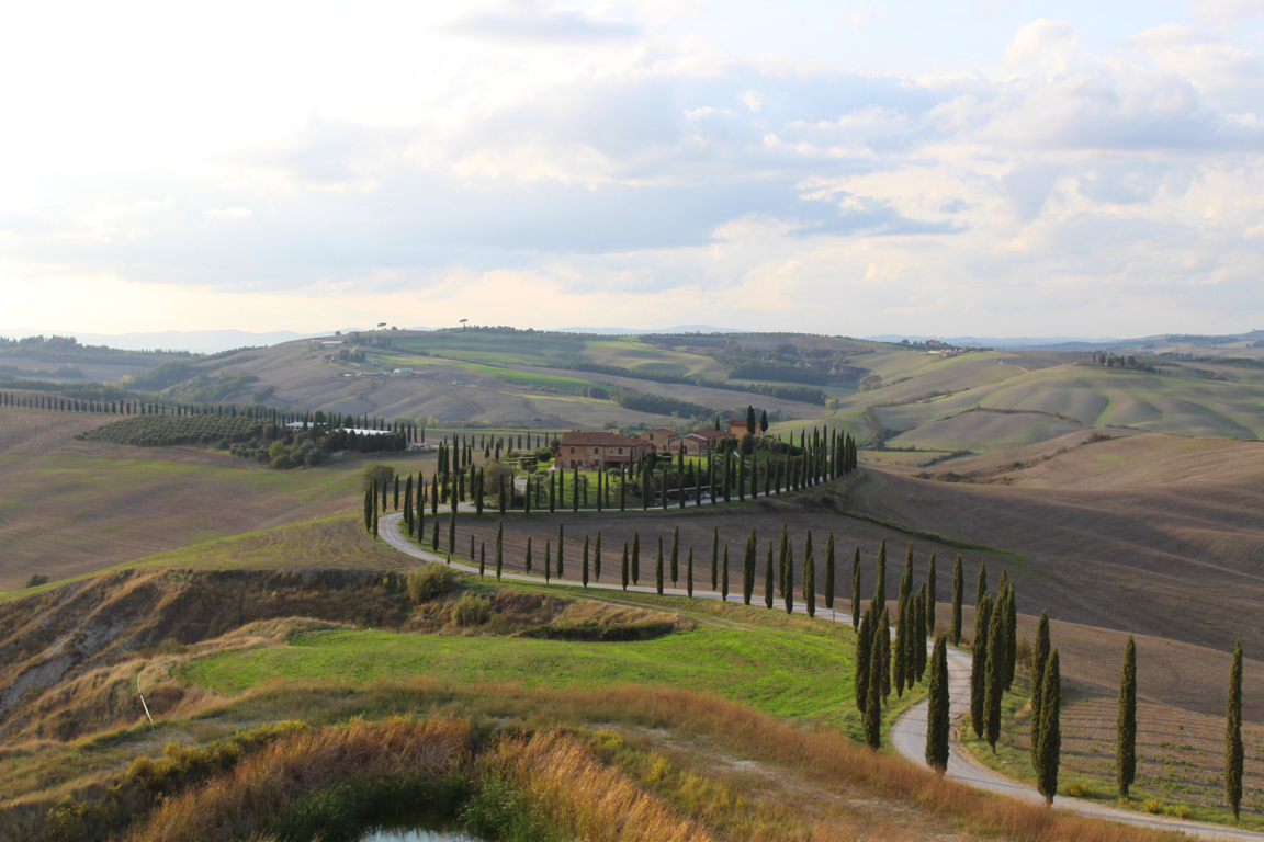 Cipressi di silvia_tamburini