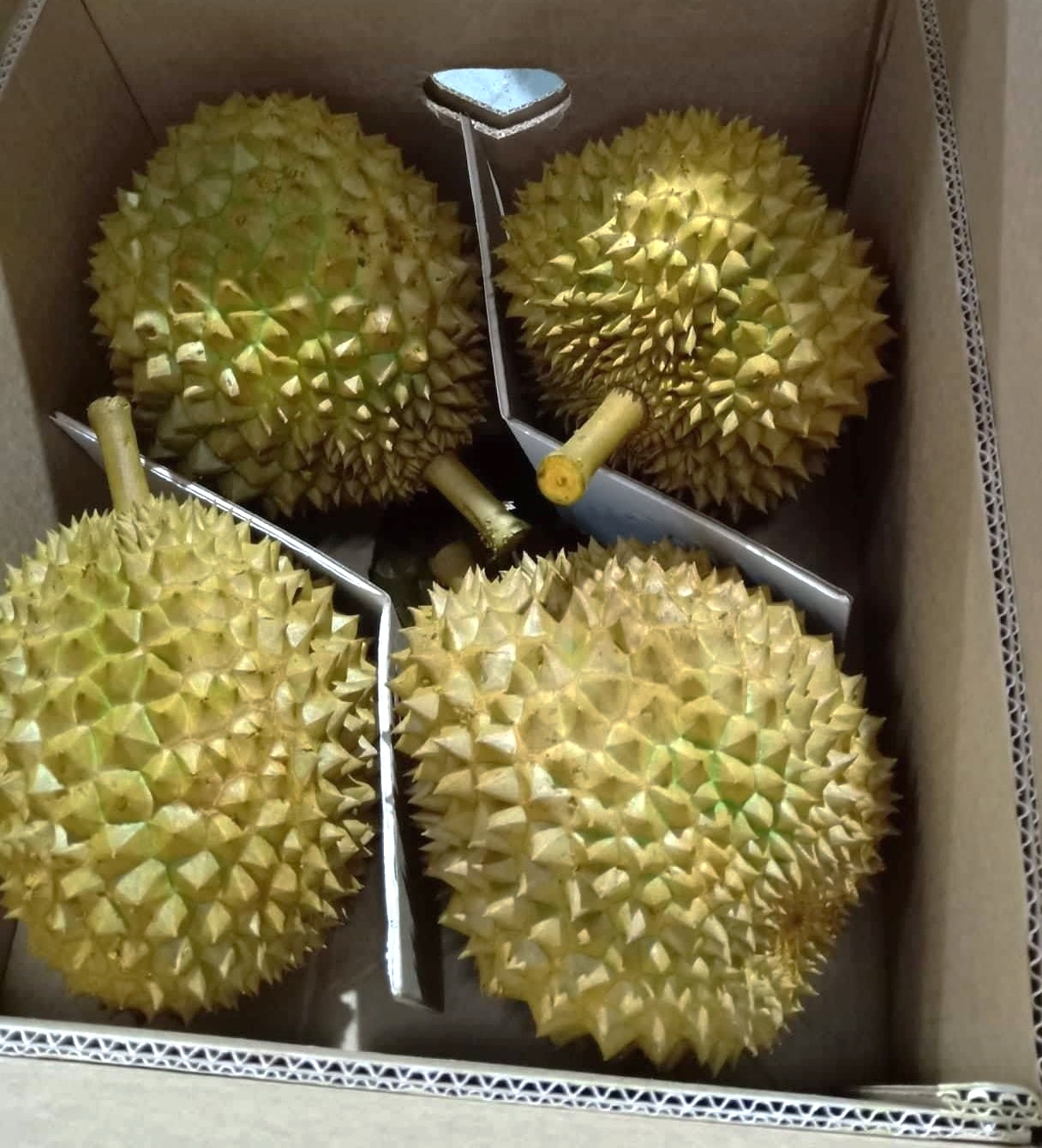 A box of durian  Description automatically generated