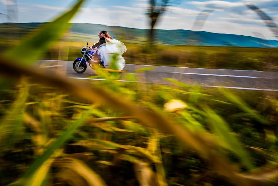 Fotógrafo de casamento Alin Sirb (alinsirb). Foto de 29 de outubro 2018