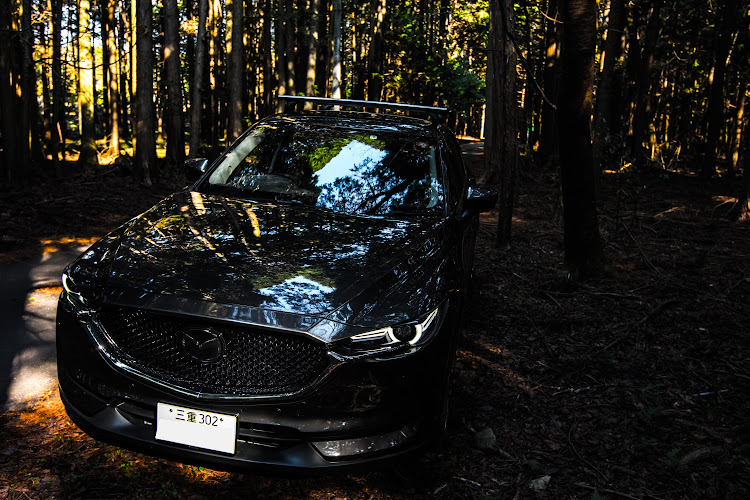 CX-5のNikonD5600・チタニウムフラッシュマイカ・写真好きな人と繋がりたい・Tokina atx-I 11-20mm F2.8 CF・広角レンズに関するカスタム事例の投稿画像12枚目