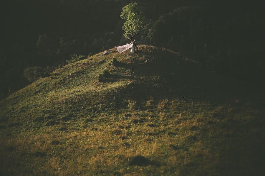 Fotografo di matrimoni Tim Demski (timdemski). Foto del 16 agosto 2017