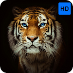 Cover Image of Download Tiger Wallpaper HD 2020 1.0 APK