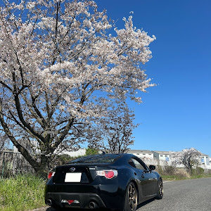 BRZ ZC6