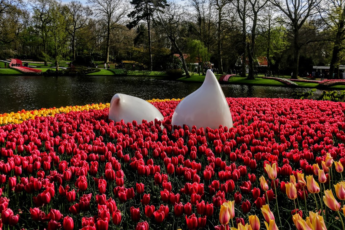 Парк Keukenhof, Ouddorp и Rotterdam "на закуску" - апрель 2017