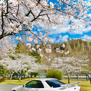 スカイライン GT-R R34