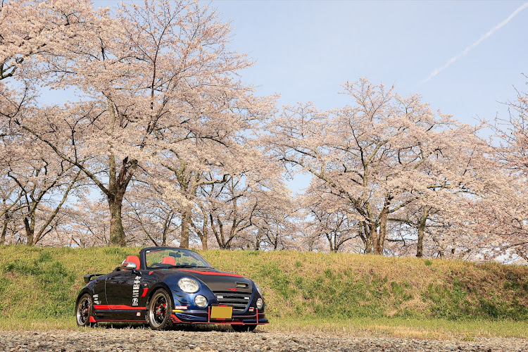 コペンのサクラと愛車・桜とコラボ・オープンカーのある景色・青空と桜と愛車に関するカスタム事例の投稿画像3枚目