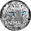 Animal Wallpaper HD Custom New Tab