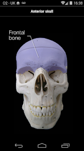 Skull Osteology(圖2)-速報App