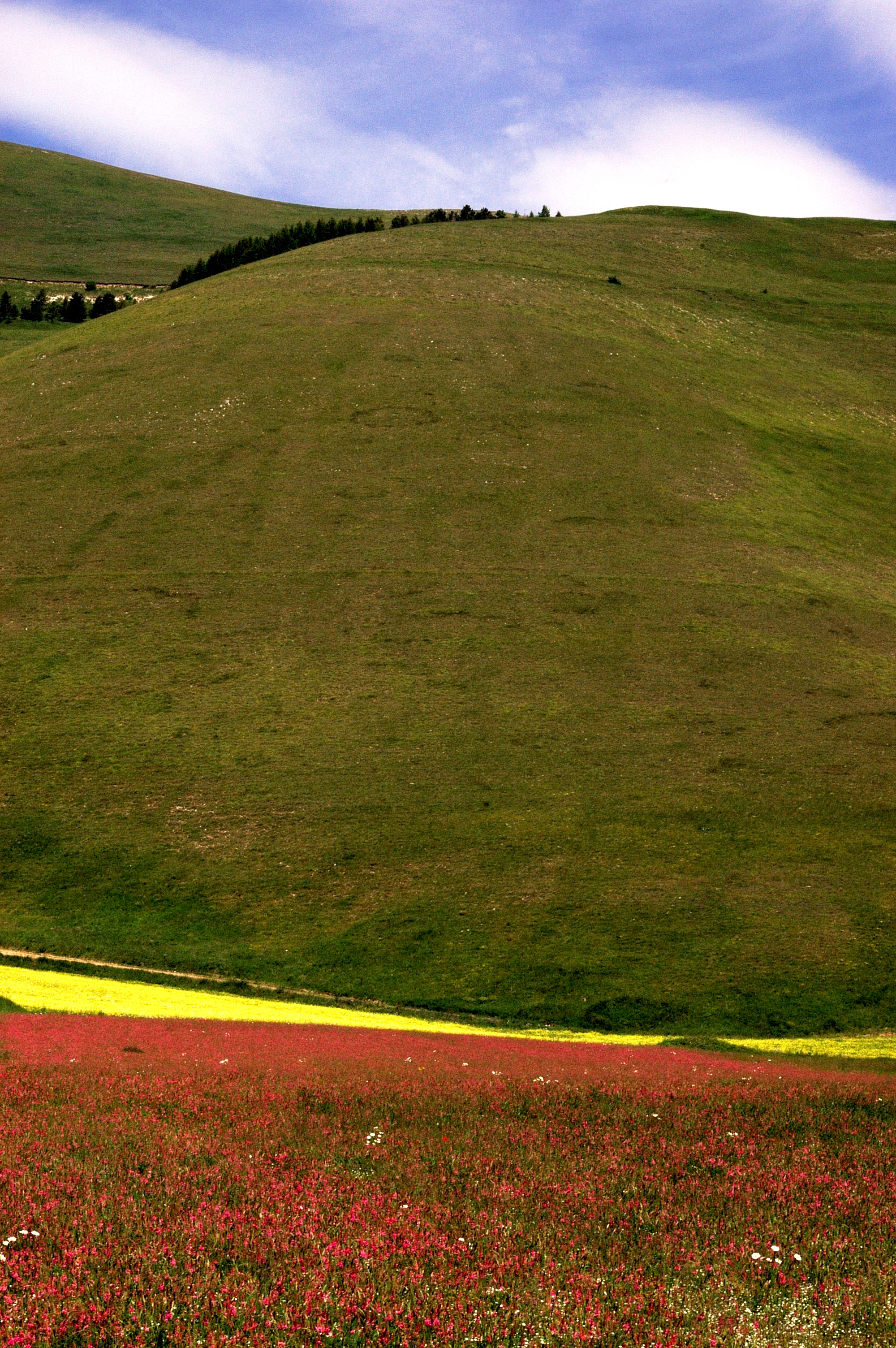 I colori dell'estate che arriva di benny48