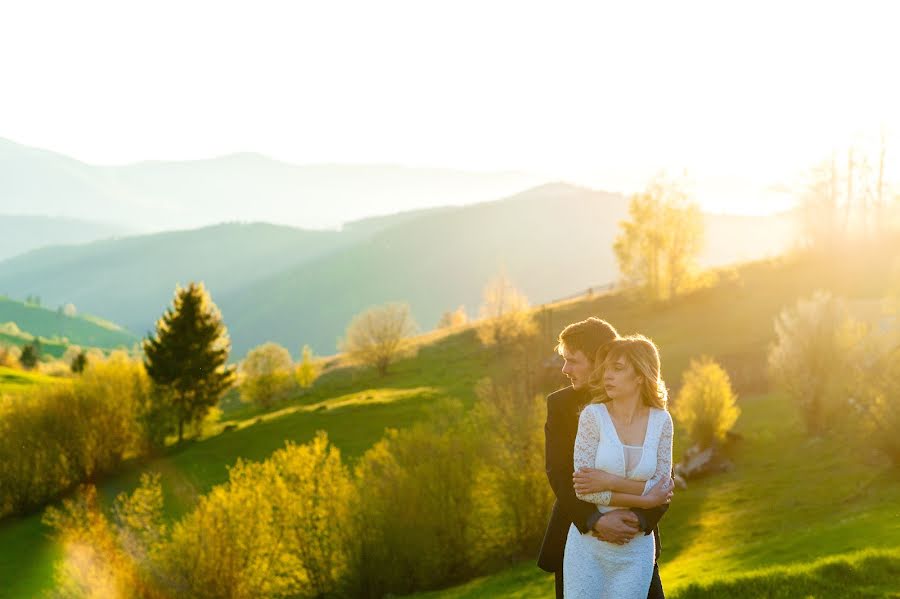 Fotografo di matrimoni Marina Garapko (colorlife). Foto del 8 marzo 2018