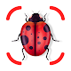 Insect identifier app - identity insects Download on Windows