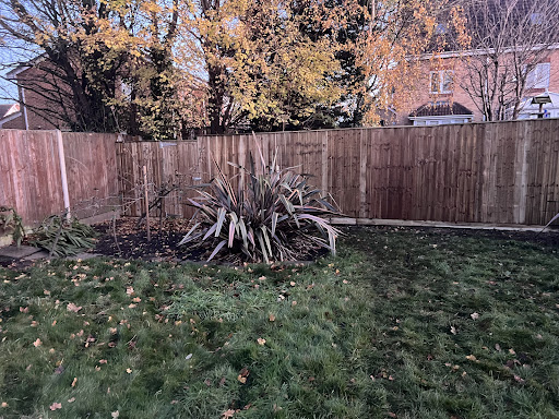 Item 208