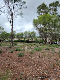 terrain à La Crau (83)