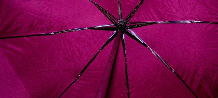 Purple Rain di cicciocozza