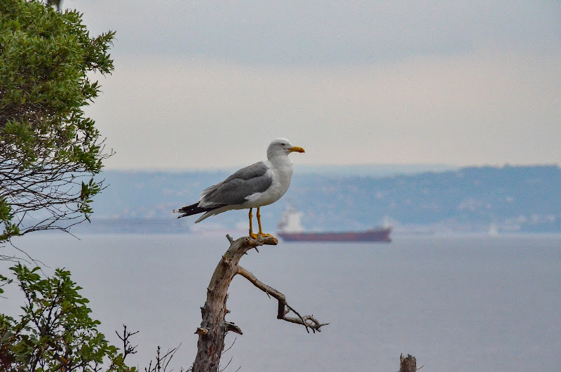 Relax a Trieste di mpphoto