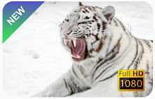 White Tiger Wallpapers and New Tab small promo image