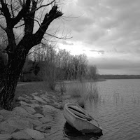 Desolazione sul lago di 