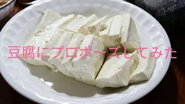 豆腐にプロポーズしてみた。