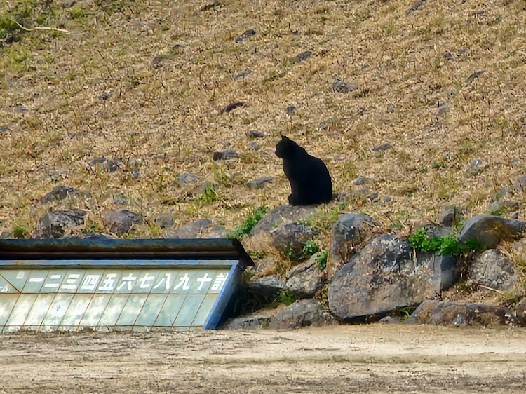 の投稿画像10枚目