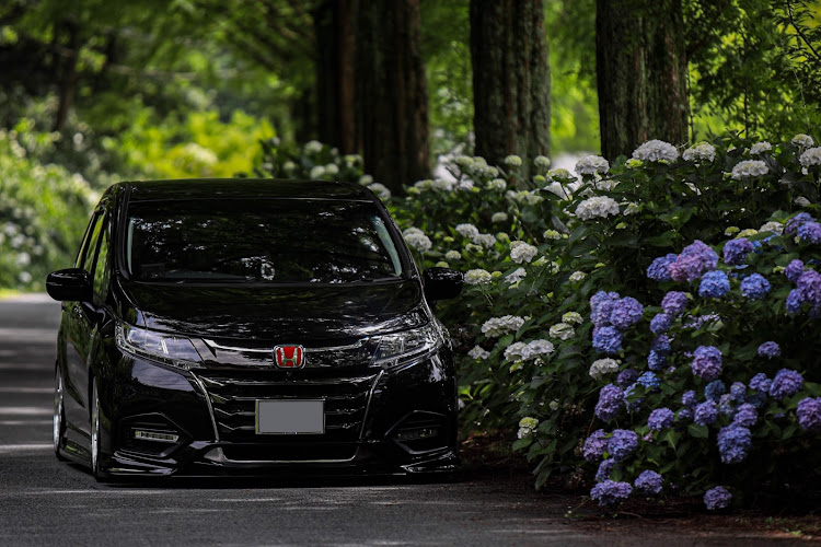 オデッセイの紫陽花コラボ・ACCエアサス・オデは今年初めての紫陽花・はぁ、1週間長ぇぞ😩に関するカスタム事例の投稿画像1枚目