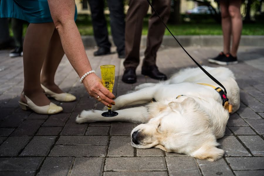 Svadobný fotograf Tatyana Malysheva (tabby). Fotografia publikovaná 8. septembra 2018