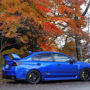 WRX STI VAB