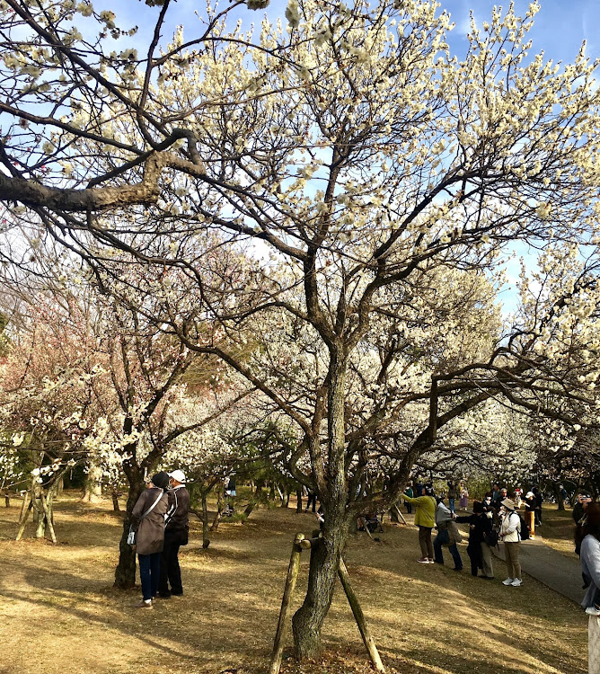 コペンの毎日毎日楽しく過ごして生きていますか？良いね!イイね！いいね！最高だね！・幸せは自分自身で見出す物で他人から与えられる物では有りません！最高だね！・貧乏しても心❤️の貧乏人には成りたく無いですね！最高だね！・妬み!僻み!は持たず!心❤️豊かに過ごしましょう!最高だね！・人は人です!自分の納得出来る生き方をしましょう!最高だね！に関するカスタム事例の投稿画像70枚目